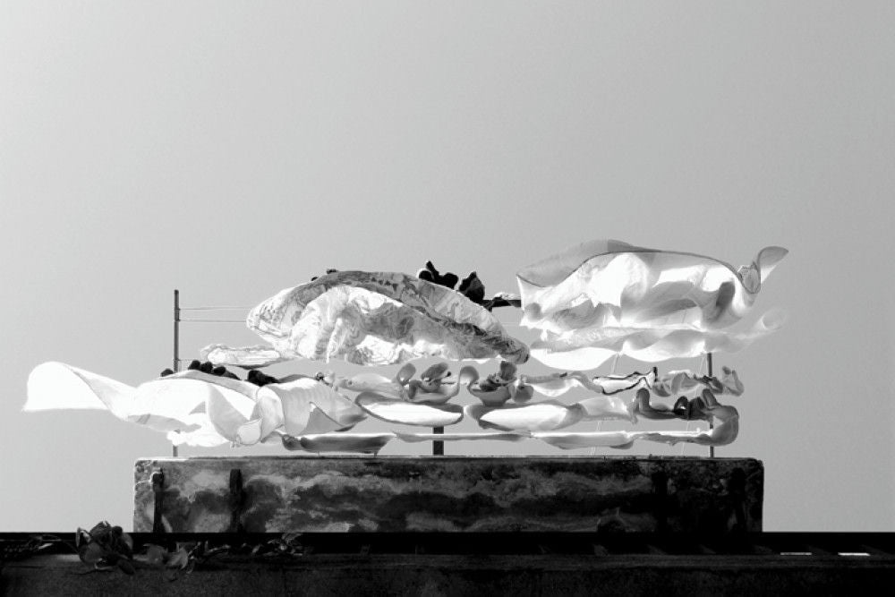 MONTERO (b. 2005) – ...y Decidí Volar, 2005 - Del Amo Art Gallery